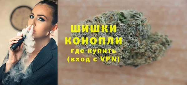 прущие грибы Пересвет