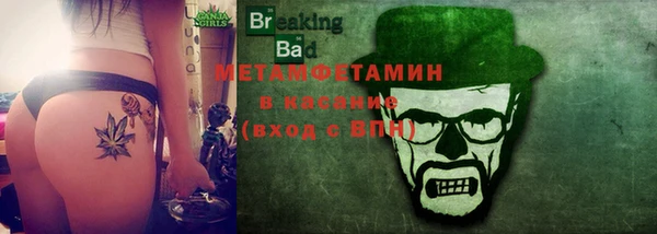 прущие грибы Пересвет