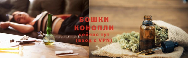 прущие грибы Пересвет