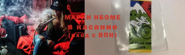 прущие грибы Пересвет