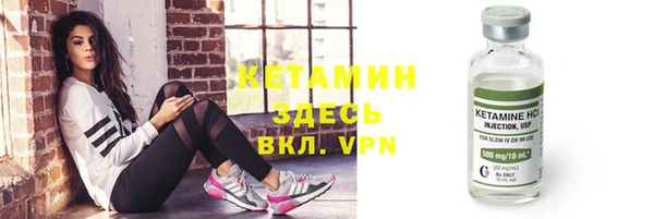 прущие грибы Пересвет