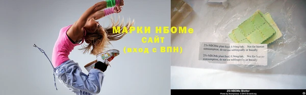 прущие грибы Пересвет