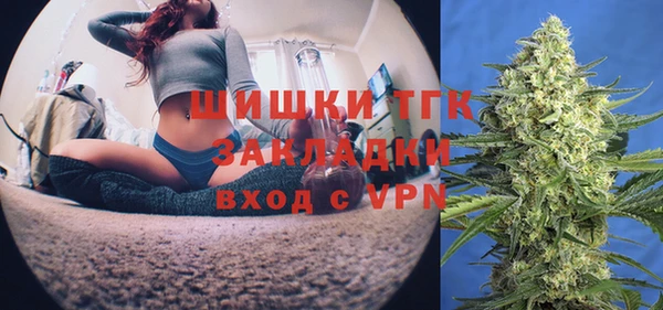 прущие грибы Пересвет
