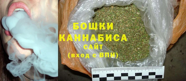 прущие грибы Пересвет
