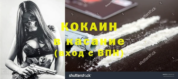 прущие грибы Пересвет