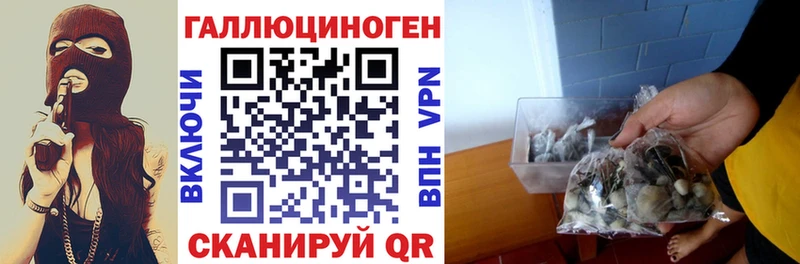 Галлюциногенные грибы ЛСД  Таштагол 